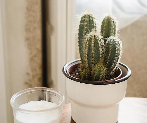 Cosy And Modern Flat In Πόρτο