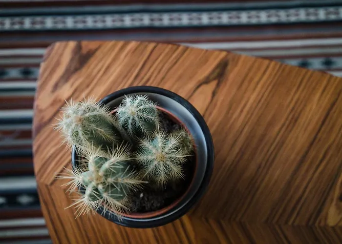 Cosy And Modern Flat In Apartman Porto