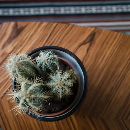 Cosy And Modern Flat In شقة بورتو